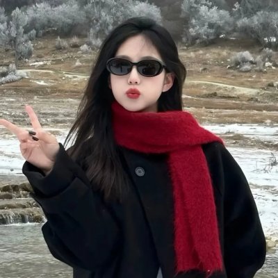 廉政追缉令国语 海报